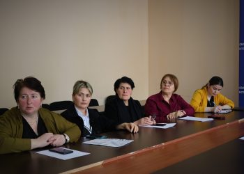 კომისიის სხდომა