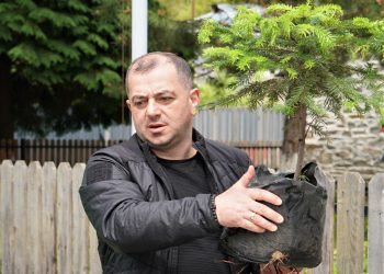 გამწვანების აქცია