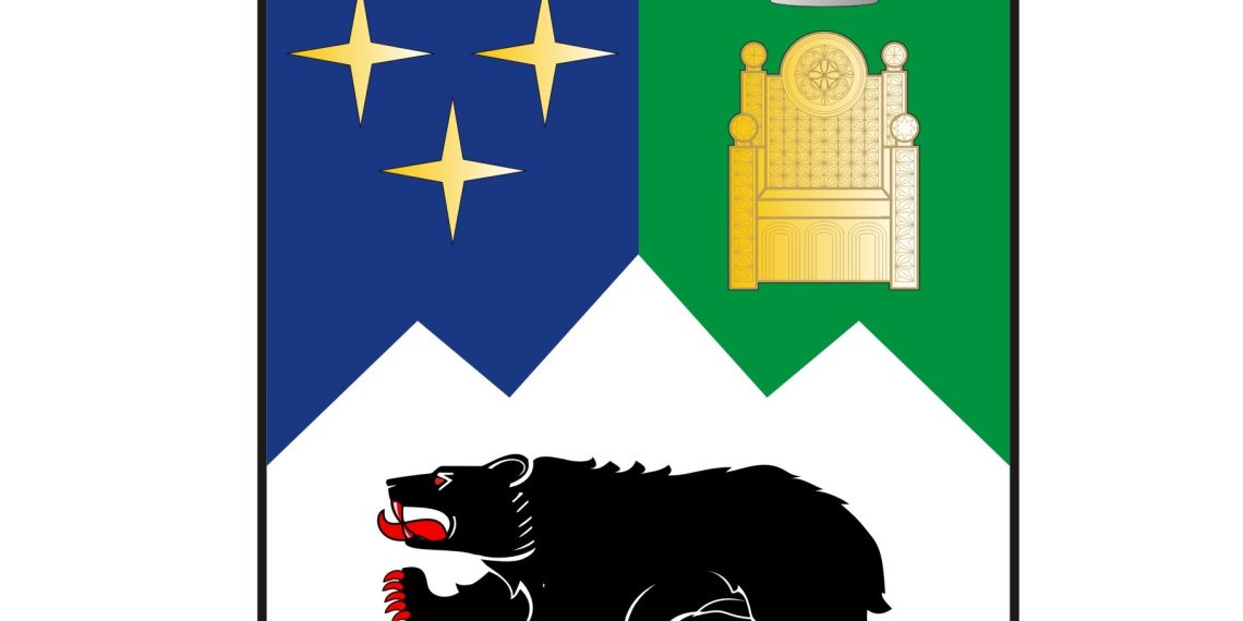 ბიუჯეტის განხილვა