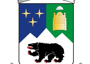 ბიუჯეტის განხილვა