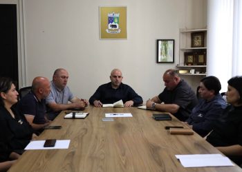 სამუშაო შეხვედრა